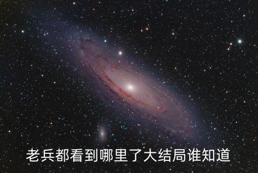 老兵都看到哪里了大结局谁知道