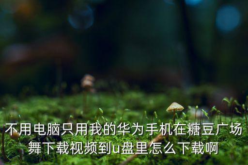不用电脑只用我的华为手机在糖豆广场舞下载视频到u盘里怎么下载啊
