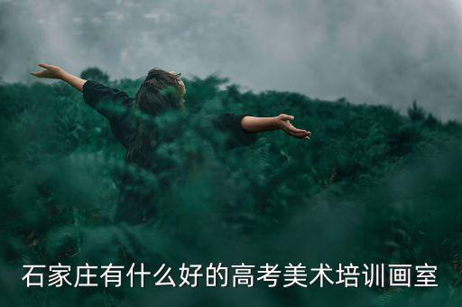 石家庄有什么好的高考美术培训画室