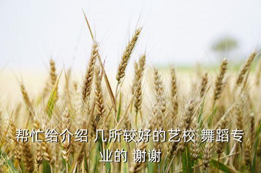 帮忙给介绍 几所较好的艺校 舞蹈专业的 谢谢