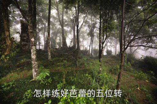 舞蹈五位手怎么练，基本功五位转的要求