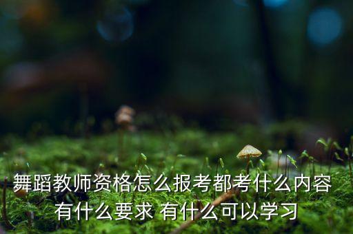 舞蹈教师资格怎么报考都考什么内容 有什么要求 有什么可以学习