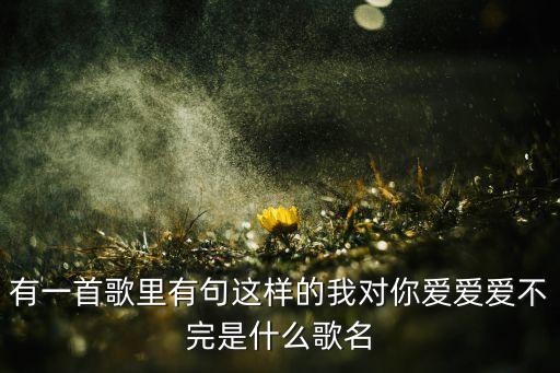 我对你的浓情爱不完是什么歌名，歌词里面有是什么歌啊