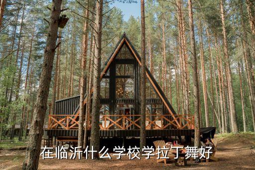 在临沂什么学校学拉丁舞好