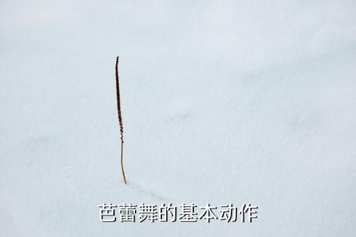 芭蕾舞的基本动作