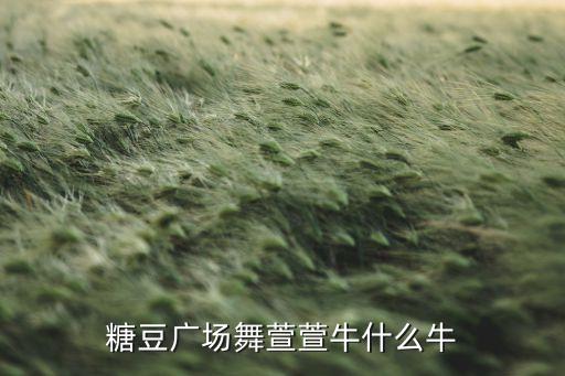 糖豆广场舞萱萱牛什么牛
