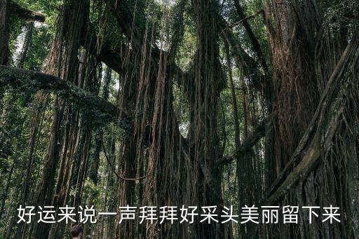 好运来说一声拜拜好采头美丽留下来