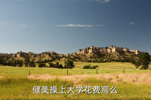 高中舞蹈特长生上大学要多少学费，上个艺体大学要多少钱