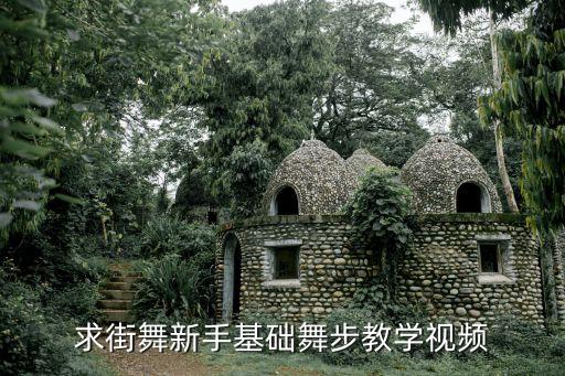 求街舞新手基础舞步教学视频