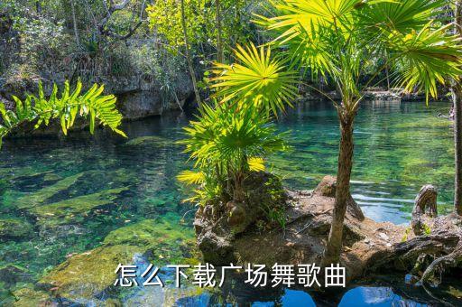 还等多久广场舞歌曲下载，怎么下载广场舞歌曲