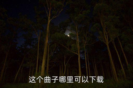 这个曲子哪里可以下载