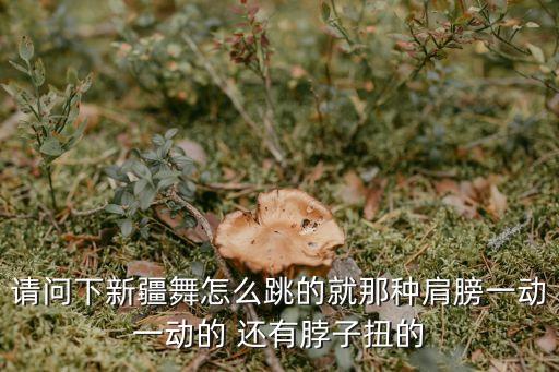 请问下新疆舞怎么跳的就那种肩膀一动一动的 还有脖子扭的