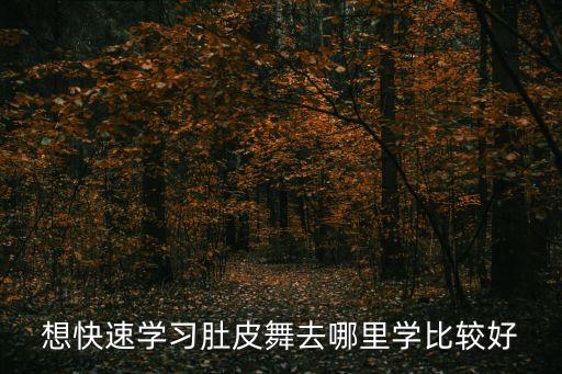 想快速学习肚皮舞去哪里学比较好