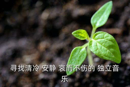寻找清冷 安静 哀而不伤的 独立音乐