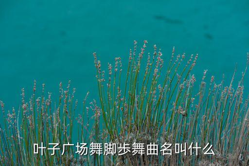 叶子广场舞脚歩舞曲名叫什么