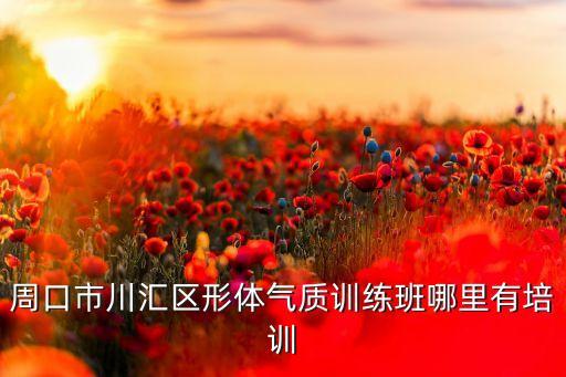 周口市川汇区形体气质训练班哪里有培训