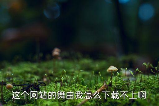 这个网站的舞曲我怎么下载不上啊
