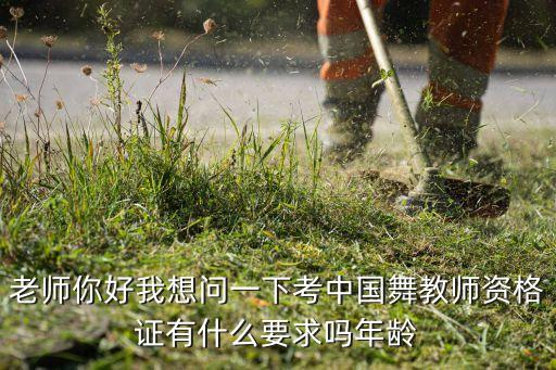 老师你好我想问一下考中国舞教师资格证有什么要求吗年龄