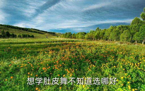 想学肚皮舞不知道选哪好