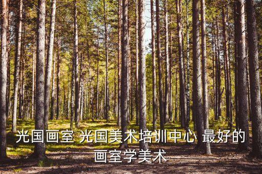 光国画室 光国美术培训中心 最好的画室学美术