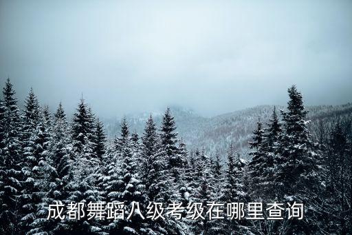 成都舞蹈八级考级在哪里查询