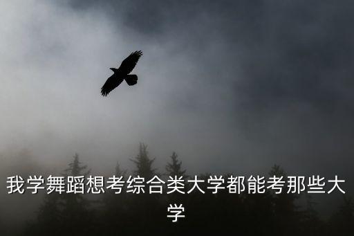 我学舞蹈想考综合类大学都能考那些大学