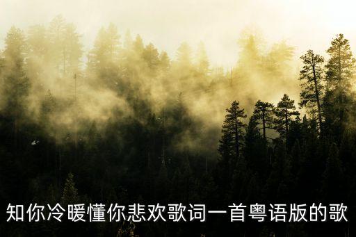 知你冷暖懂你悲欢歌词一首粤语版的歌