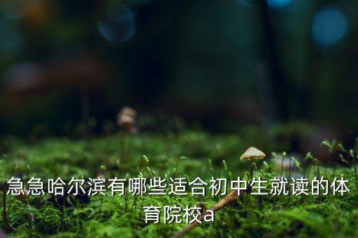 初中可以上体校有哪个学校，适合初中生上的体校