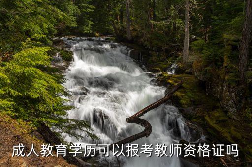 成人教育学历可以报考教师资格证吗
