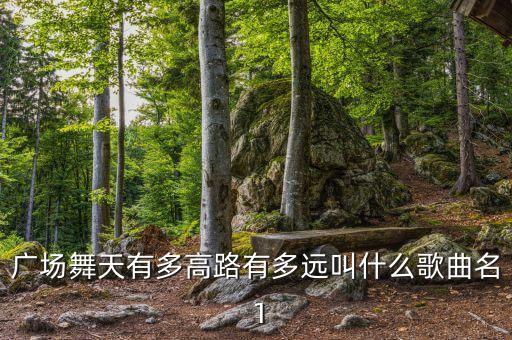 广场舞天有多高路有多远叫什么歌曲名 1