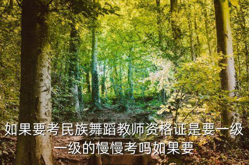 民族舞教师资格证考级，如果要考民族舞蹈教师资格证是要一级一级的慢慢考吗如果要