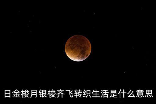 金梭银梭什么意思，日金梭月银梭齐飞转织生活是什么意思