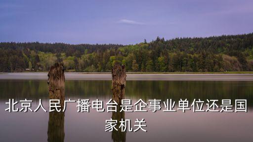 北京广狐是做什么的，北京哪里有猫沙卖多少钱