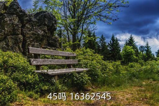 45吗 16362545