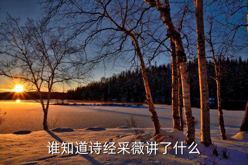 谁知道诗经采薇讲了什么