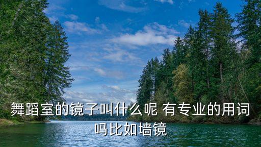舞蹈室的镜子叫什么呢 有专业的用词吗比如墙镜