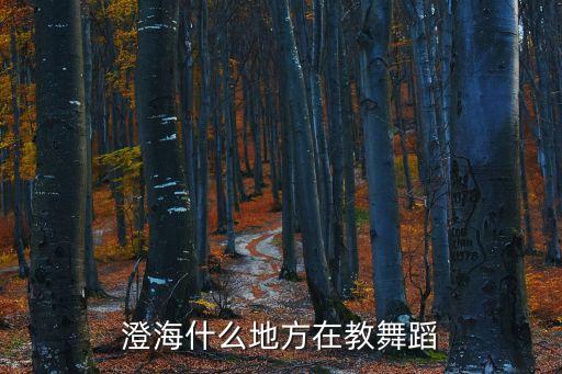 澄海哪里有学可以舞蹈，汕头澄海哪里有学舞蹈