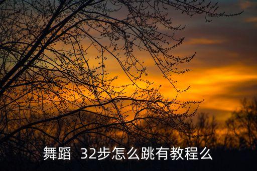 舞蹈  32步怎么跳有教程么