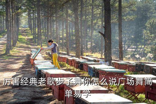 厉害经典老歌步子舞你怎么说广场舞简单易学