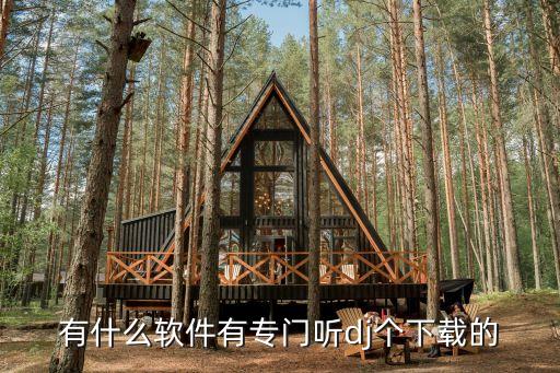 一个跳舞的音乐是什么软件下载，寻一个跳舞软件