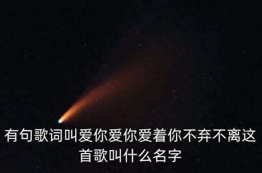 有句歌词叫爱你爱你爱着你不弃不离这首歌叫什么名字