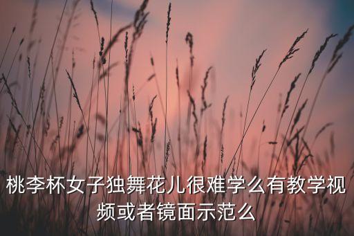 桃李杯女子独舞花儿很难学么有教学视频或者镜面示范么