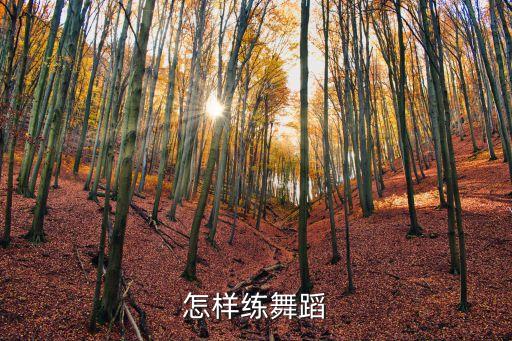 舞蹈技巧训练方法视频，怎样才能练好舞蹈