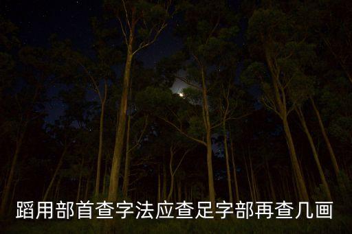 蹈用部首查字法应查足字部再查几画