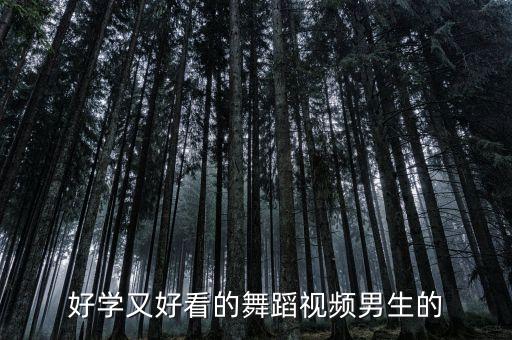好学又好看的舞蹈视频男生的