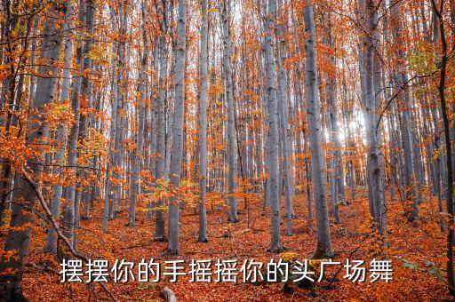 怎么爱也爱不够广场舞32步，舞蹈  32步怎么跳有教程么...
