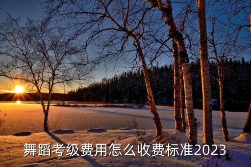 舞蹈考级费用怎么收费标准2023