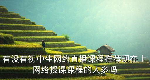 有没有初中生网络直播课程推荐现在上网络授课课程的人多吗