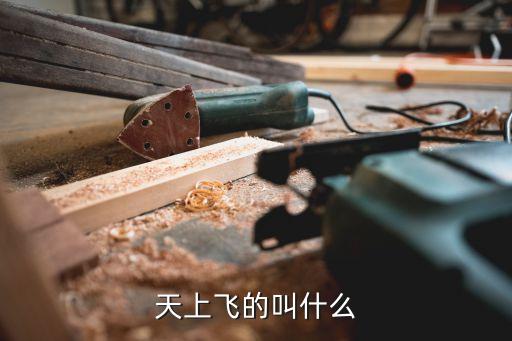广场舞天上飞的什么名字，天上飞的是什么 鸟儿还是云朵 歌名