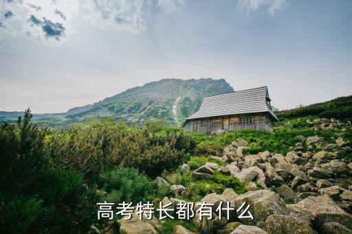 高考特长生包括什么，高考时候的特长生是怎么回事